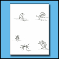 Various Animals